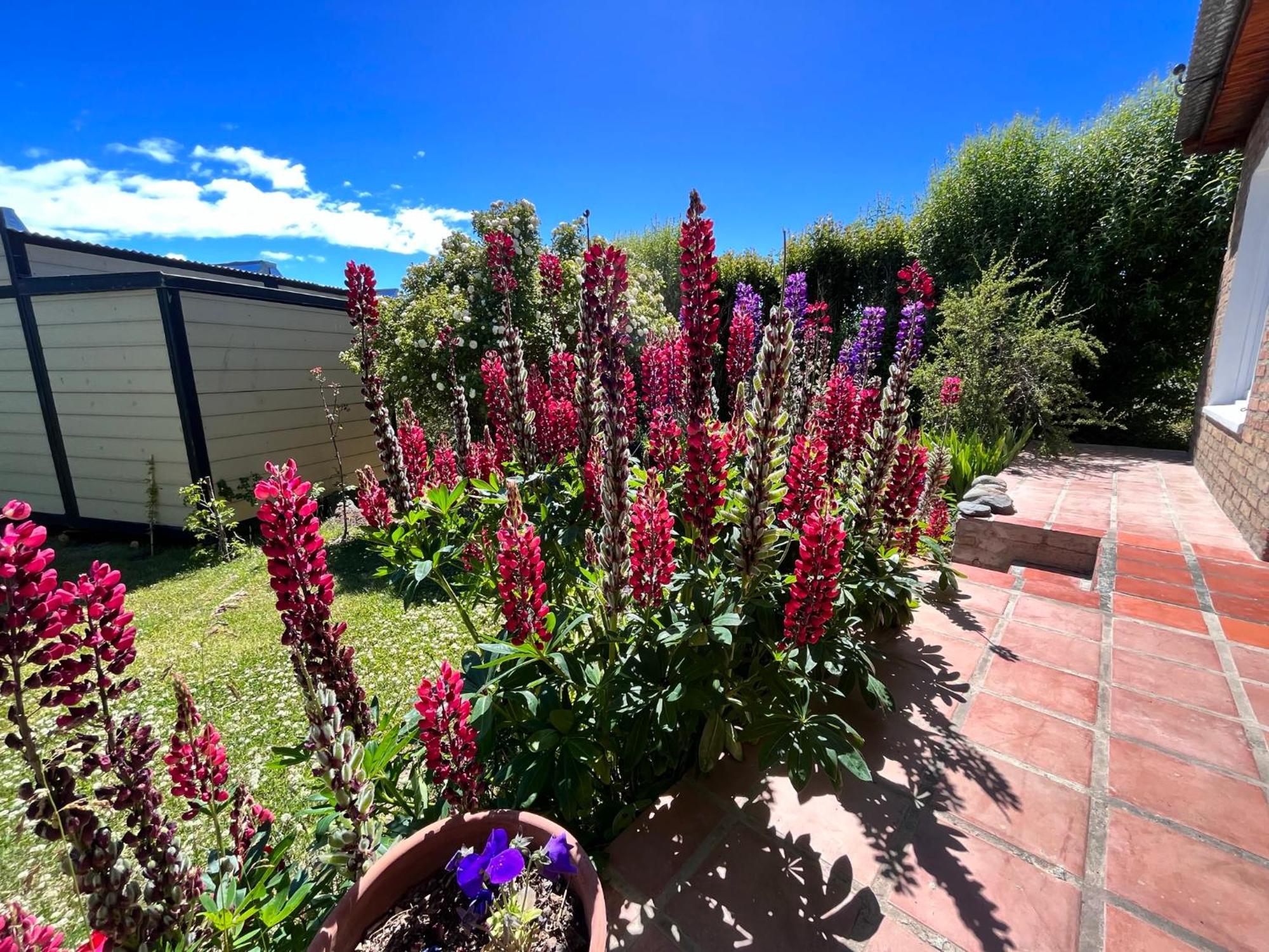 La Veranada El Calafate Ngoại thất bức ảnh